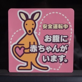 matanitexima-ku (Kangaroo) is what Removable Type Pack of 1 SD – 17 