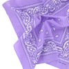 Laciteinterdite Set of 3 Paisley Bandanas for Men and Women,