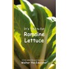 It's Time to Eat Romaine Lettuce