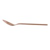 Argon Tableware Stainless Steel Dessert Spoons - 20cm - Copper