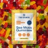 TrueSeaMoss Sea Moss Gummies Sample Pack – 15 Vegan Gummies