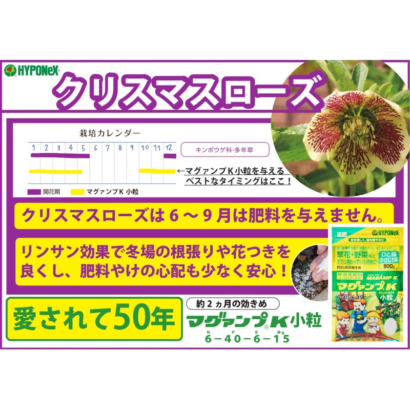 Hyponex Maguamp K, Small 17.6 oz (500 g)