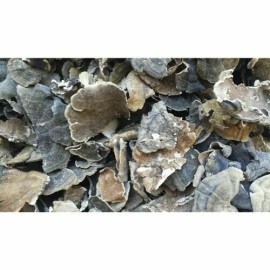 Oregon Mushrooms Dried USA Turkey Tail Whole and Powder 2025 season - 4 OZ