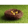 Exasinine 10 Pcs 5.5'' Artificial Bird Nest for Crafts, Easter,
