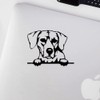 Decal Stickers of Rhodesian Ridgeback Peeking (Black) (Set of 2)