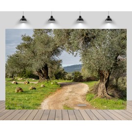 CHNYWORK 7ftx5ft Olive Grove Backdrop Olives Theme Spring Landscape Green Trees Pathway Blue Sky Background Retro Religious Travel Theme Decor Photo Booth Studios Props Wallpaper