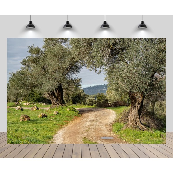 CHNYWORK 7ftx5ft Olive Grove Backdrop Olives Theme Spring Landscape Green