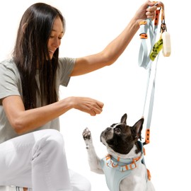 THE LICKER STORE HNS1000D Arlo Extra Small Adjustable Soft Padded No Pull Pet Harness with 3 Buckles and 3 Leash Clips, Fishbowl