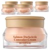 Skinfood Salmon Dark Circle Concealer Cream 10g, 6 pieces, No. 2 Salmon Beige / 스킨푸드 연어 다크서클 컨실러 크림 10g, 6개, 2호 살몬 베이지