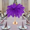 30 Pcs Large Natural Ostrich Feathers Bulk 16-18 Inch for