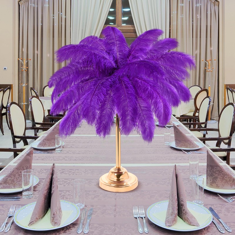 30 Pcs Large Natural Ostrich Feathers Bulk 16-18 Inch for