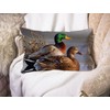 BGBDEIA Ducks On the Water new Cushion Cover Lumbar Pillow
