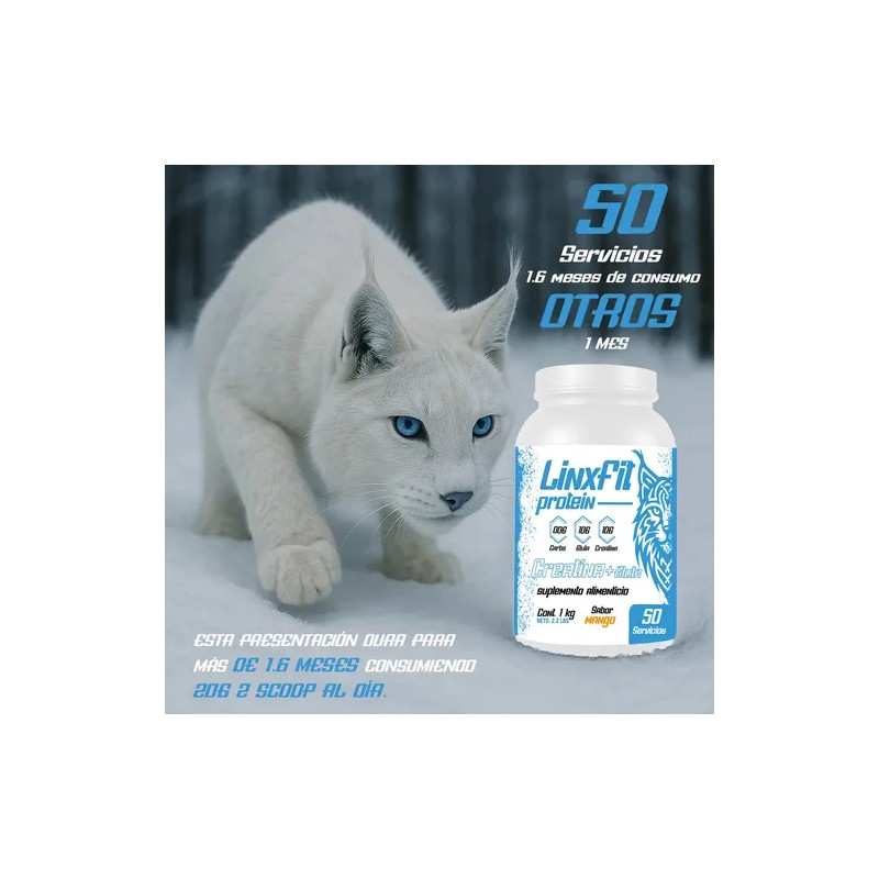 Creatina Glutamina Linx Fit 1kg 50 Servicios Varios Sabor