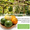 10 Packs Jute Melon Hammocks for Trellis, Watermelon Holder for