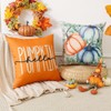 Artscope Fall Decorative Throw Pillow Covers 18x18 Inch Set of