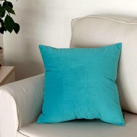 Artcest Cozy Solid Velvet Throw Pillow Case, Decorative Couch Cushion Cover, Soft Sofa Euro Sham with Zipper Hidden, 24"x24" (Light Teal)