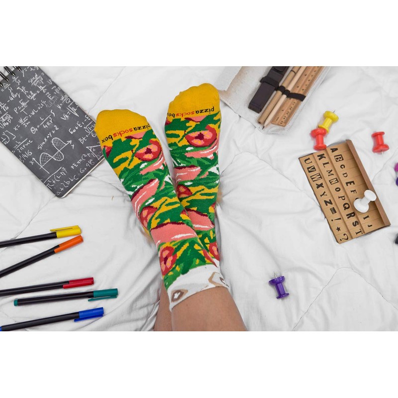 Rainbow Socks - Pizza Slice Box Socks - Italian -