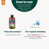 Gardenera Premium Liquid Hoya Fertilizer - 3-1-2 Concentrate for Indoor