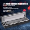 24 Hole Tremolo Harmonica C Key Wind Musical Instrument for