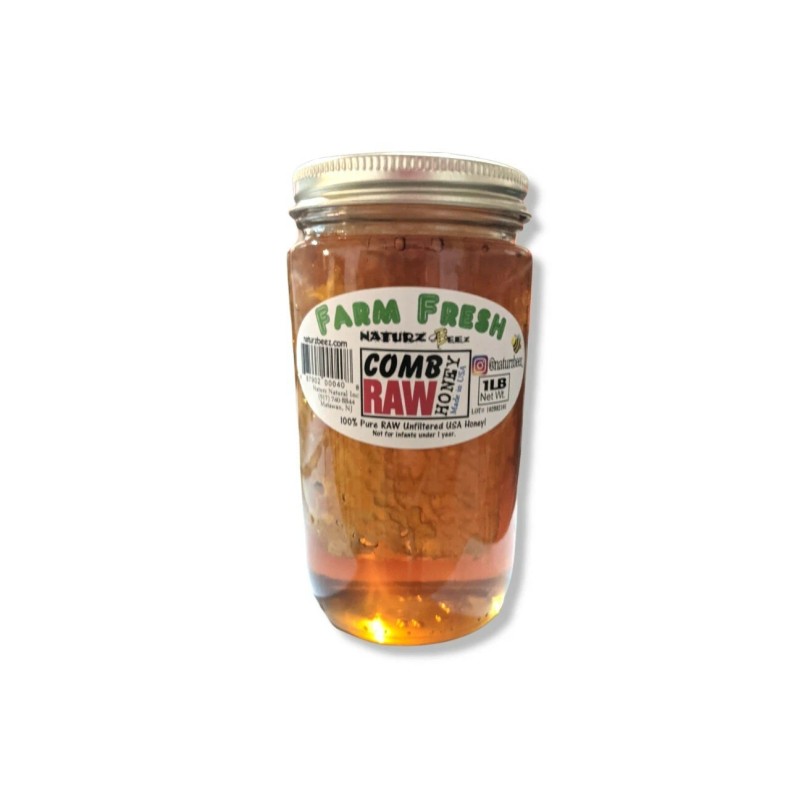 NATURZ BEEZ RAW HONEY COMB 1LB RAW HONEY 1LB 2-PACK
