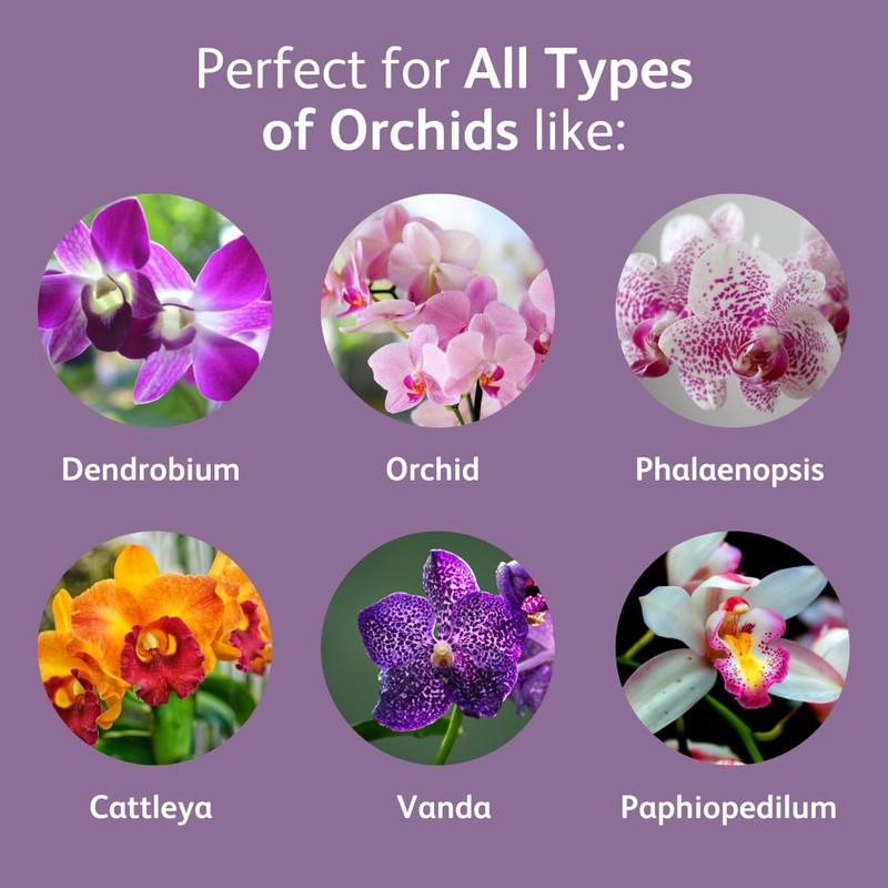 Chrysal Orchid Food Drops — Orchid Care — One Pack