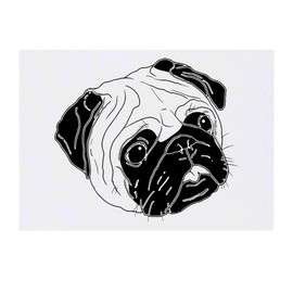 'Pug Face' Temporary Tattoo - Water Resistant, Skin-Safe, Non-Toxic Transfer (TO00046346)