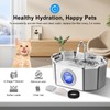 Cat Fountain Filters Compatible with Apauk 3.2L Cat Fountain APFSS-3201,12x
