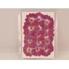 Fukusan Pressed Flower Pack Wild Rose Fuk-1021 Red Purple (Front