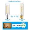 Vintage T10/T30 LED Bulb 25 Watt Equivalent, Warm White 2700K,