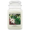 Village Candle Gardenia Large Glass Apothecary Jar Scented Candle, 21.25