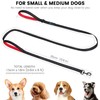 PuppyDoggy Dog Leash for Small to Medium Dogs 6 ft