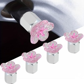Xalvoria 4-Pack Pink Cherry Blossom Schrader Valve Caps (Silver)