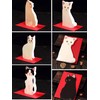 jetoy 2504me398 Greeting Cute Cat Message Card Set of 5