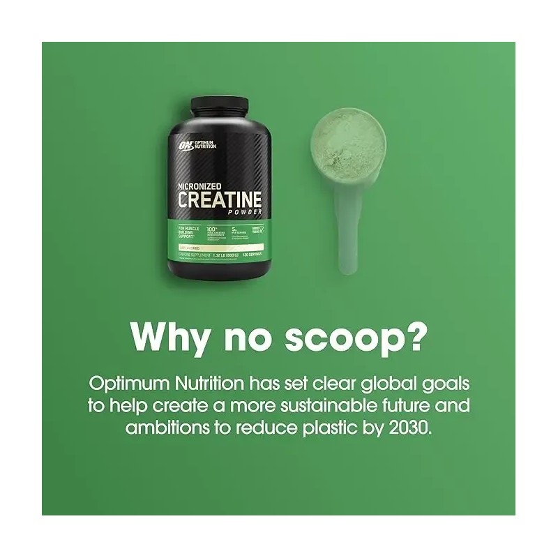 Creatina Monohidratada On Creatine Powder 1200 G 240 Servs