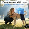 KISFLY Dog Hip Brace, Hot Cold Therapy Rear Leg Care
