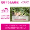 イヌリン 400g 帝人イヌリア100%使用 水溶性食物繊維 顆粒 オランダ産 チコリ由来 無添加・無保存料 (400g)