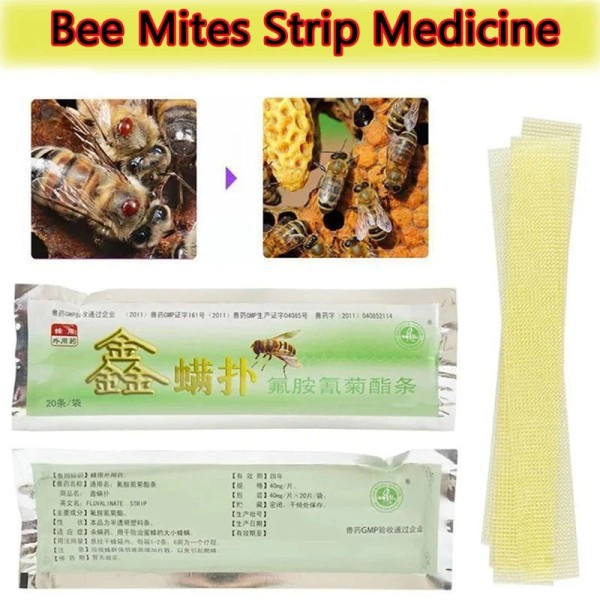 Unbranded 20Pcs Bee Mites Strip Medicine Pest Control Durable Tool