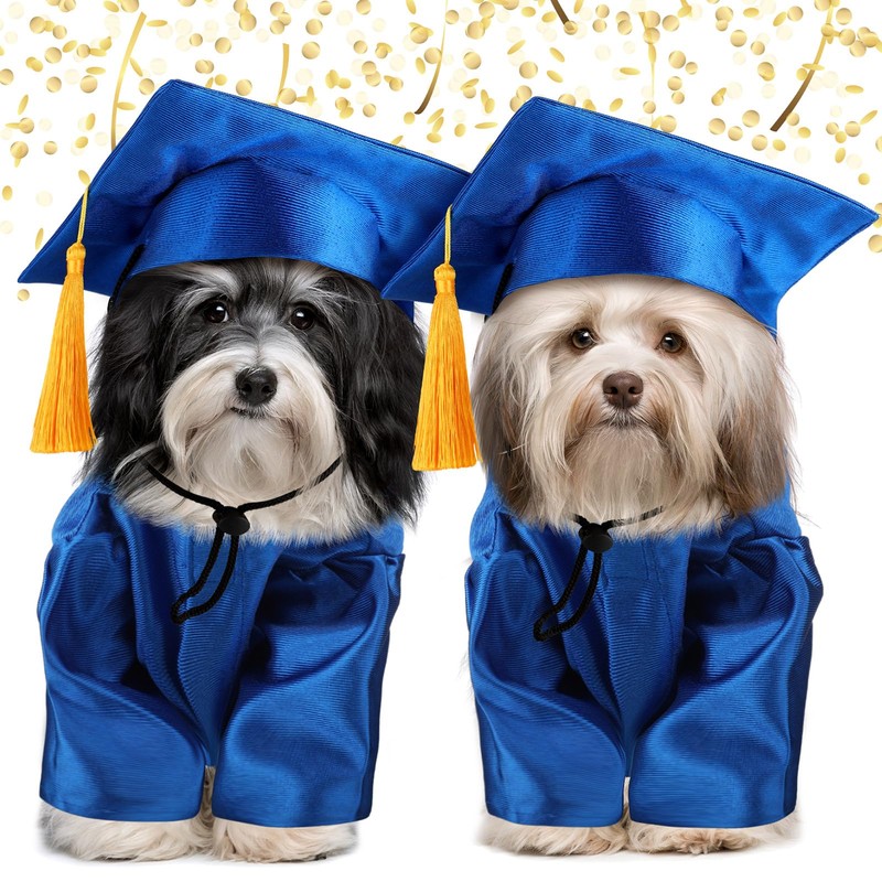 Bunnycool Dog Graduation Cap and Gown 2025 Washable Pet Graduation
