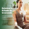 VERDORA Parches Aromáticos de Lavanda para Uso Externo, 18 Unidades