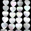 AlohaGemsUSA Silvery-White Nautilus Shell Beads with Superior-Grade Nacre (One of