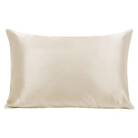 NGHT Beauty Boost Pillowcase | Hydrating 100% Charmeuse Satin | Anti-Frizz, Anti-BedHead, Anti-Breakout | No Sleep Lines | Skin & Hair Care (Queen 26" x 20" inches, Champagne)