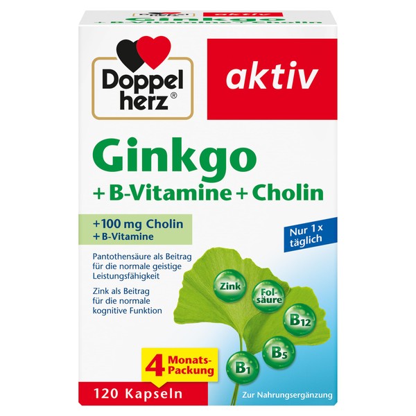 Doppelherz Ginkgo + B Vitamins + Choline - With Pantothenic Acid as a Contribution to Normal Mental Performance - 120 Capsules