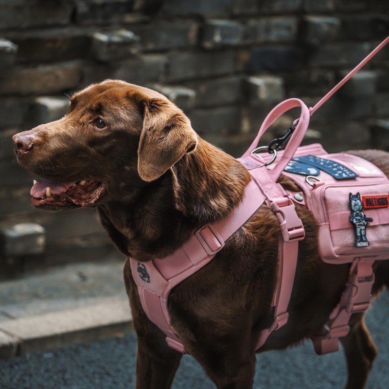 OneTigris Service Dog Vest Harness, Service Dog Cape Guardian Dog