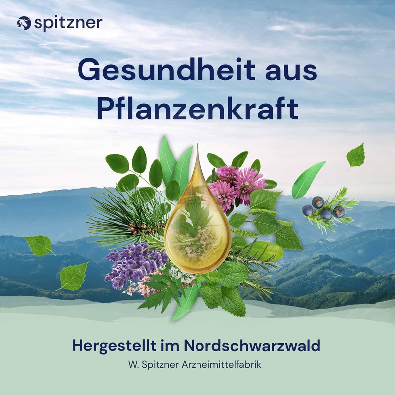 Spitzner Hydro Sauna Infusion Spruce Needle 1 Litre 7802044