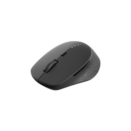 Rapoo M300G Silent Wireless Mouse, Bluetooth 5.0, 2.4 GHz, Multi-Device, 2400 dpi (Black)