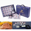 Hansol Cupping Therapy Equipment Set with Pumping Handle 17 Cups