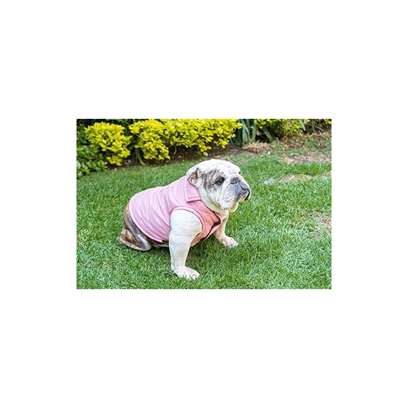Chaleco Personalizable con el Nombre de su Perro, Abrigador, Suave