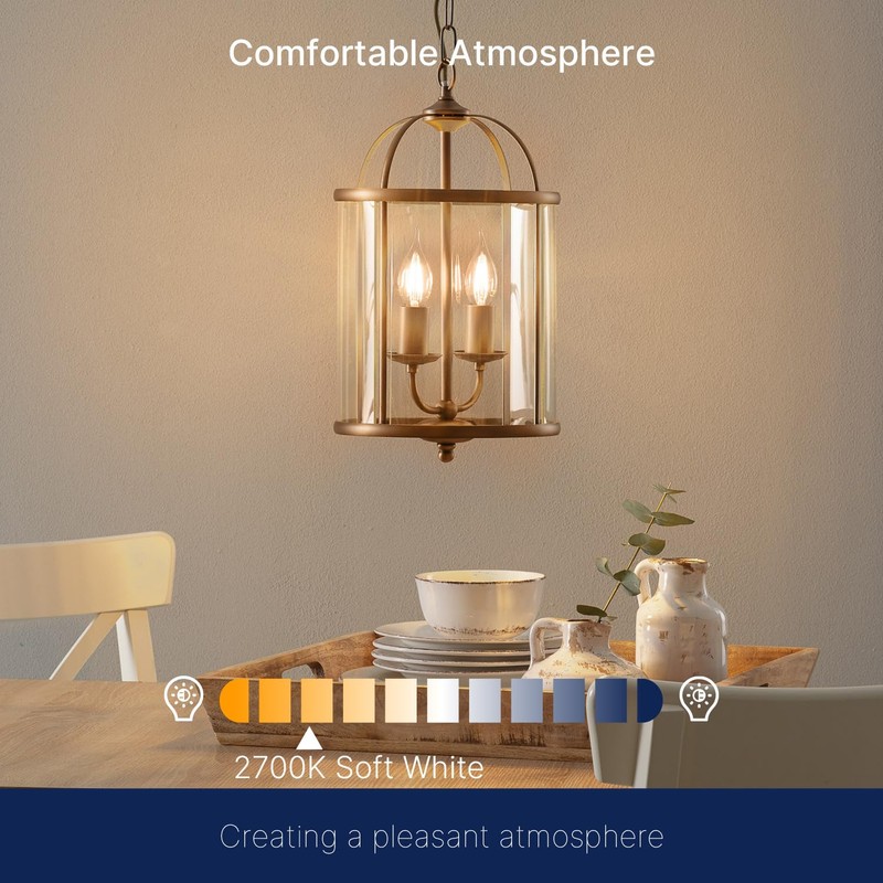 FLSNT 60 Watts Equivalent LED Chandelier Light Bulbs, Dimmable CA11