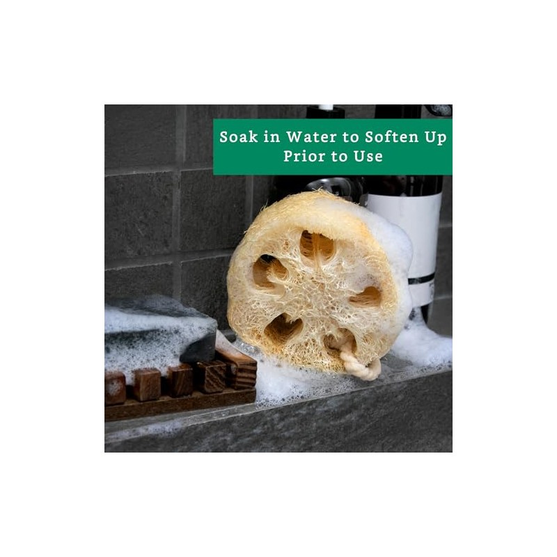 Esponjas 100 Naturales Cuerpo Nuestra Esponja Lufa Natural Está Elaborada