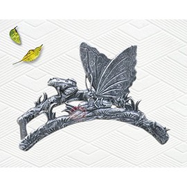 Taiwan Decorative Aluminum Wall Mounted Butterfly with a Frog Garden Outdoor Hose Holder, Hose Storage, Hose Hanger (1, M)